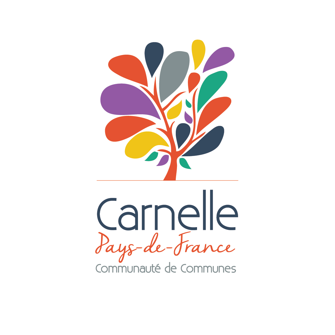 Logo-C3PF-Web-RVB-V1b-pour-fonds-couleur.png