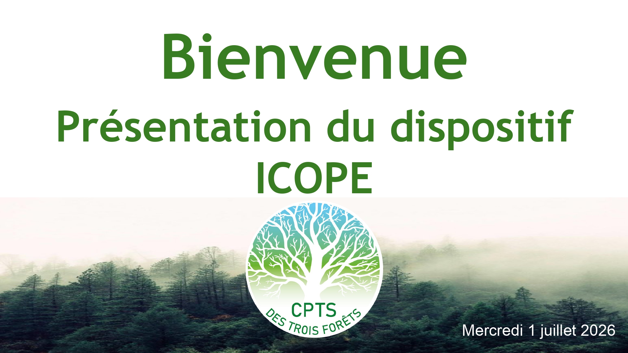 260701 webinaire ICOPE